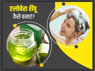 एलोवेरा शैंपू कैसे बनाएं? जानें इस शैंपू से बालों को मिलने वाले ढेर सारे फायदे